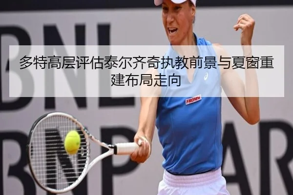 多特高层评估泰尔齐奇执教前景与夏窗重建布局走向